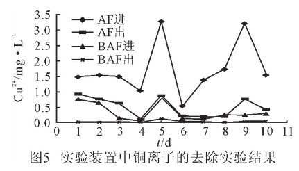 实验装置中铜离子的去除实验结果